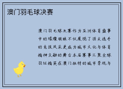 澳门羽毛球决赛