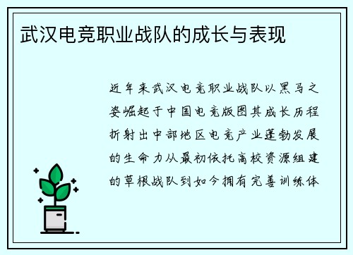 武汉电竞职业战队的成长与表现